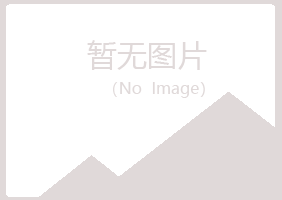 宁夏山柏金属有限公司